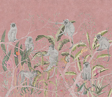 Factura FAUNA AFRICA 6